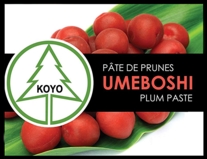 pâte de prunes umeboshi-1