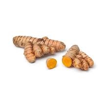 curcuma, racine-1