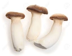 champignon, Eryngii-1