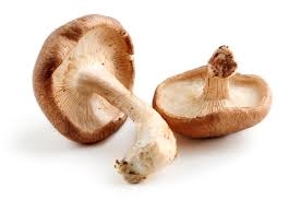 champignon, shitake-1