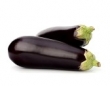 aubergine 