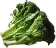 brocoli 